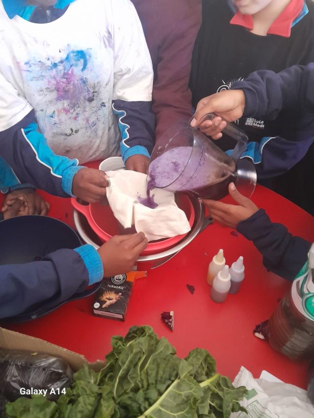 STEAM week Grade 4 1