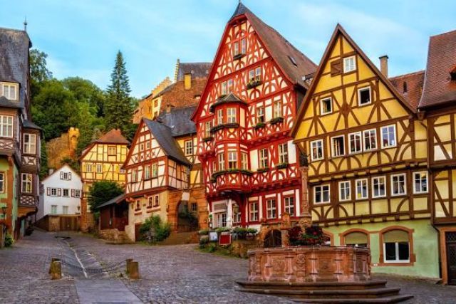 Friends of South Africa Youth Exchange Programme