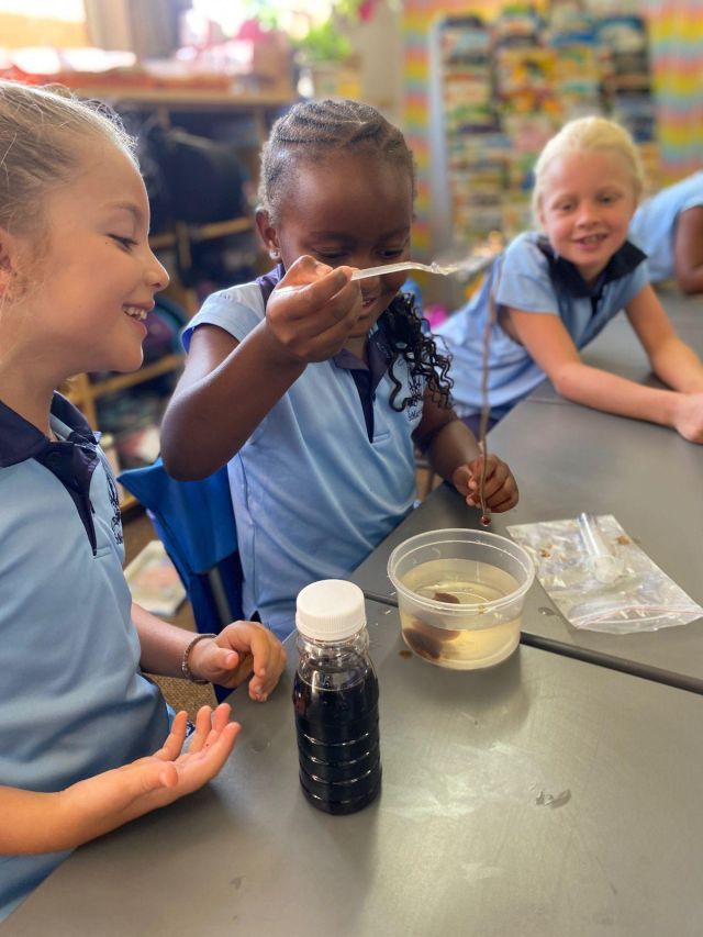 PHOTO 2026 02 11 16 34 43