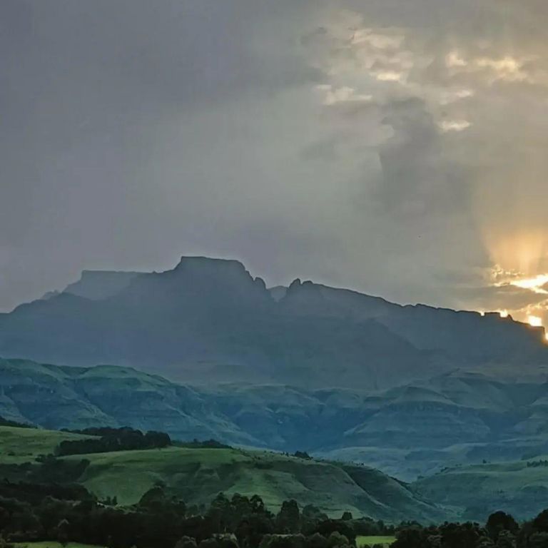 FB IMG 1772459201325