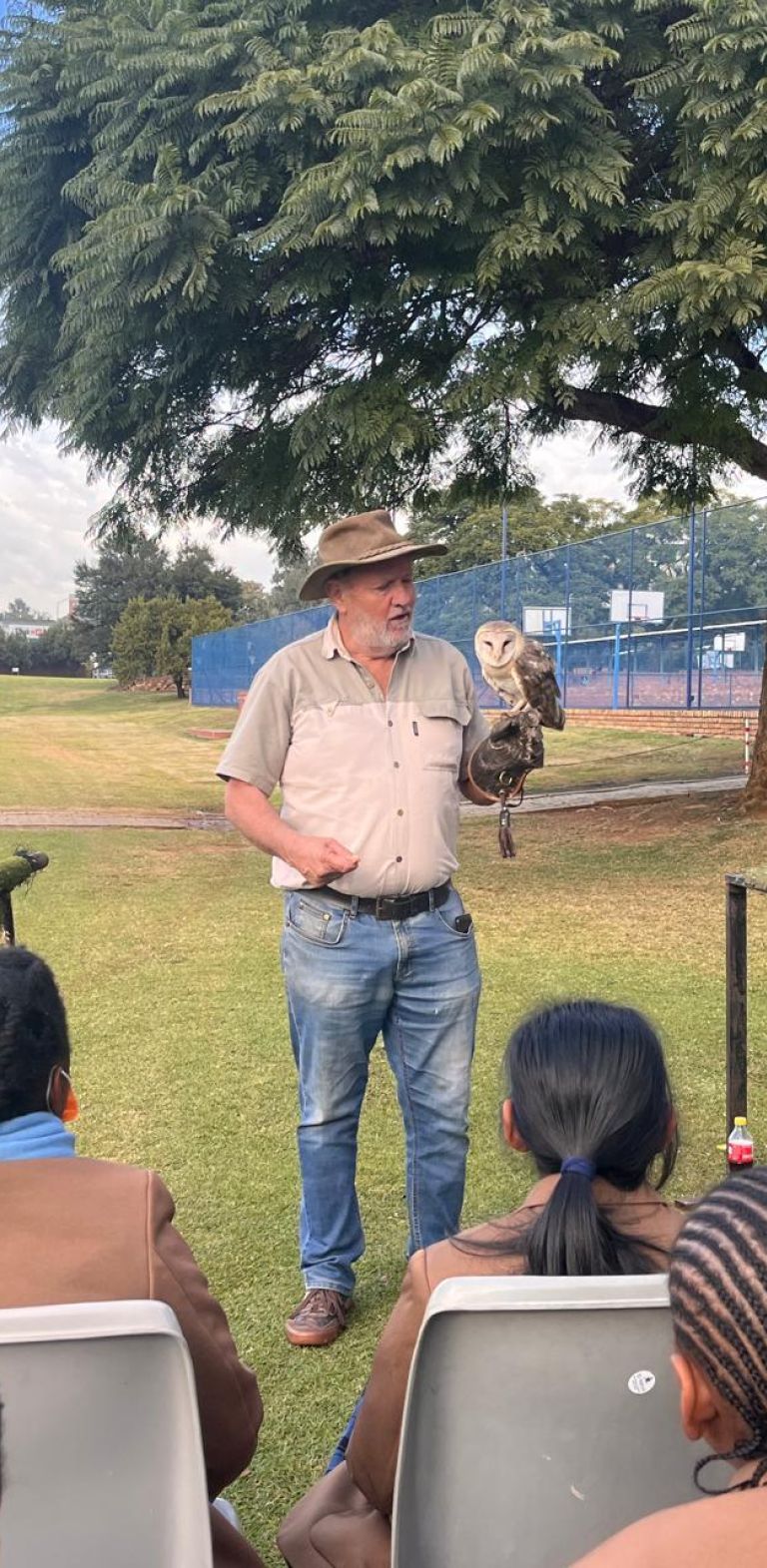 Bird of prey inning Grade 4 12