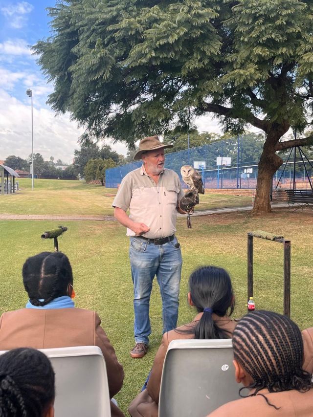 Bird of prey inning Grade 4 12